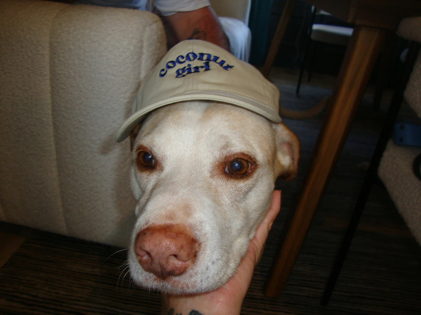 Wild Coconut Girl Baseball Cap